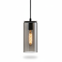 Smoked Tube Light