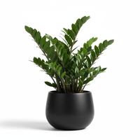 ZZ Gloss Pot