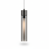 Smoked Tube Light