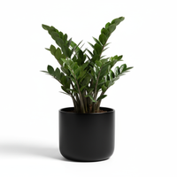 ZZ Gloss Pot