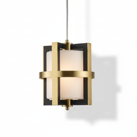 Fusion Hybrid Lamp