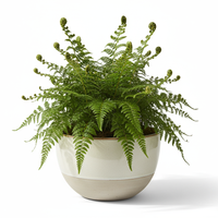 Fern Green Bowl